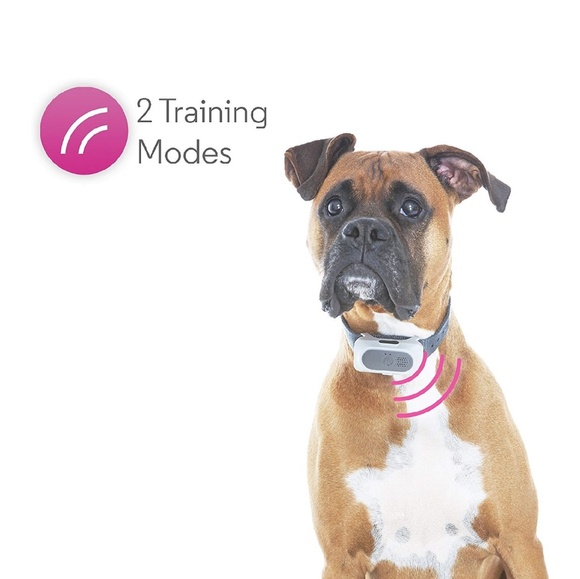 Motorola dog fence - travel ready - Picture 2 of 3